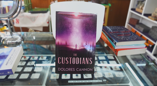 The Custodians: Beyond Abduction