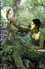 A Messenger Appears Card