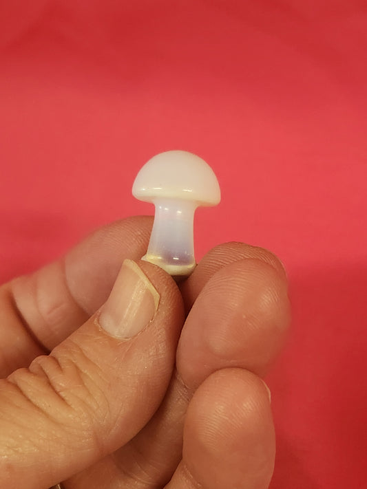 Crystal Mushrooms