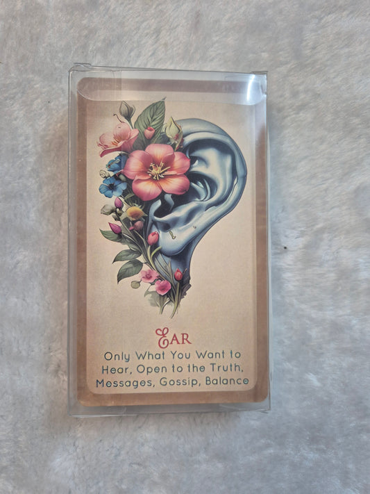 Divine Wisdom Tarot
