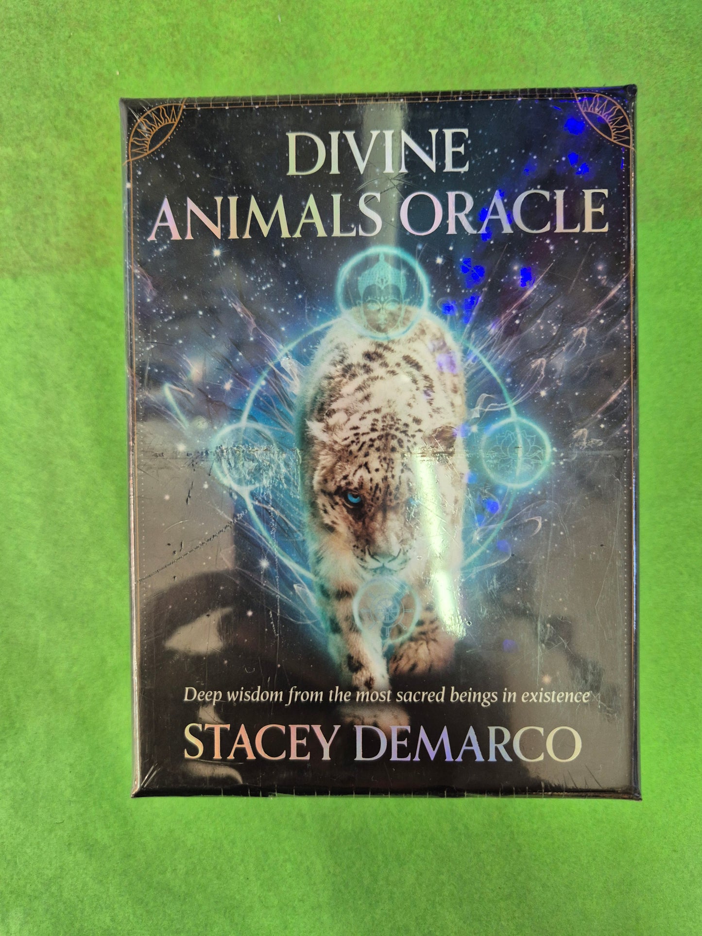 Divine Animals Oracle - Stacey Demarco