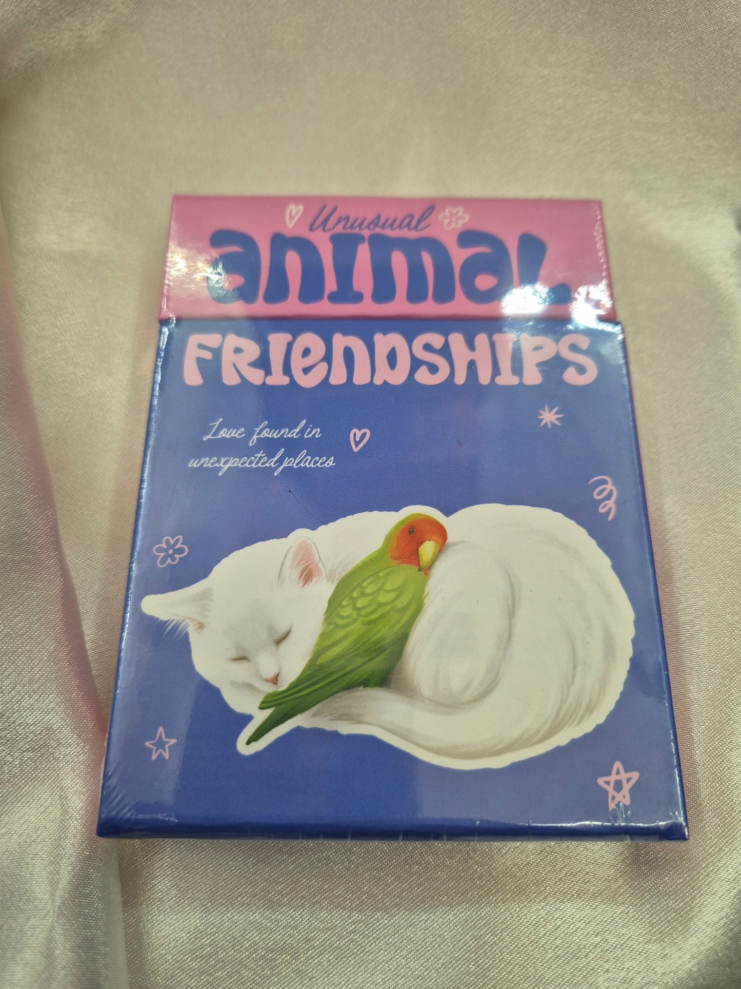 Unusual Animal Friendships