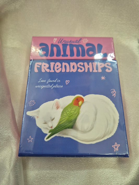 Unusual Animal Friendships