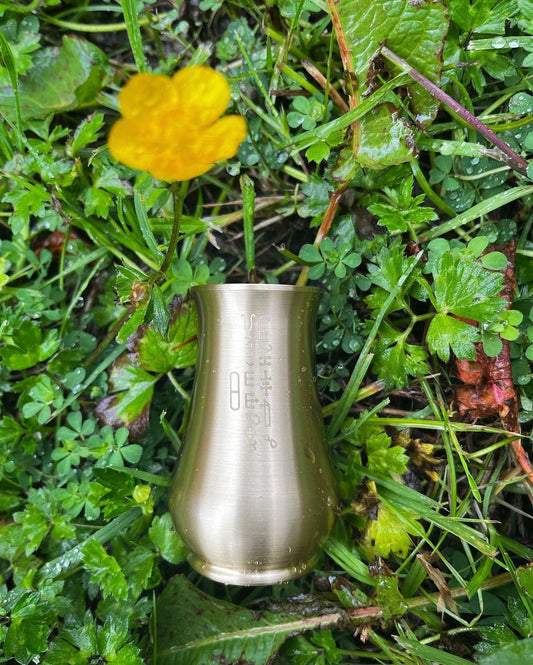 Aspergillum-——from Key of Solomon，professional magician tool