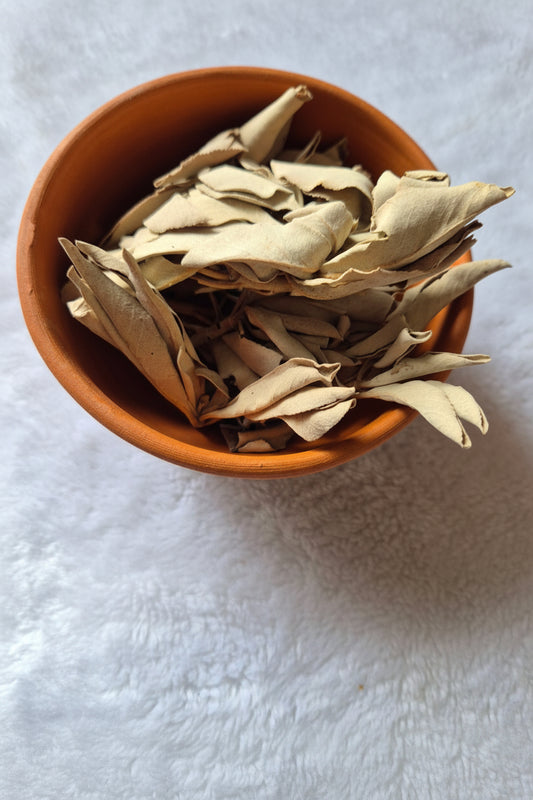 California White Sage Leaves 25g In014 Loose – Cleanse, Purify & Renew