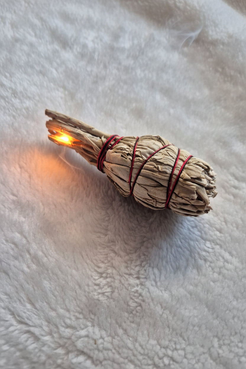 California White Sage Torch In013– Purify, Cleanse & Renew