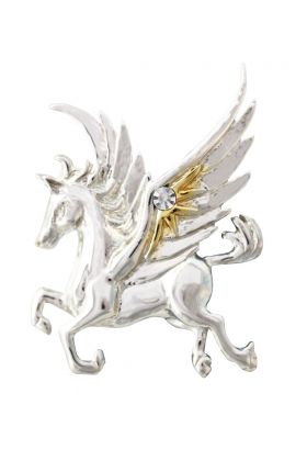 Pegasus of the Stars